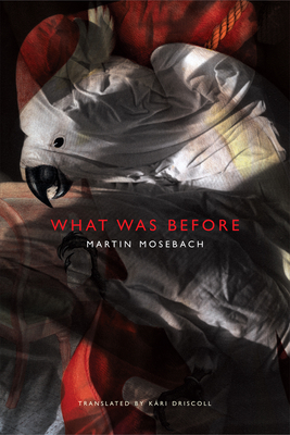 What Was Before - Mosebach, Martin, and Driscoll, Kari (Translated by)