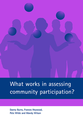 What Works in Assessing Community Participation? - Burns, Danny, and Heywood, Frances, and Wilde, Pete