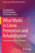 What Works in Crime Prevention and Rehabilitation: Lessons from Systematic Reviews