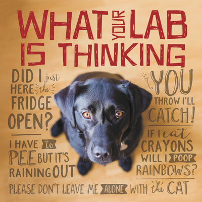 What Your Lab Is Thinking - Willow Creek Press