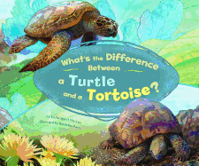 What's the Difference Between a Turtle and a Tortoise?