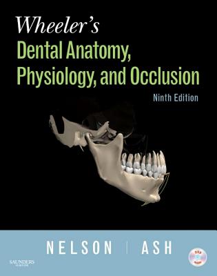 Wheeler's Dental Anatomy, Physiology and Occlusion - Nelson, Stanley J