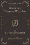 When the Century Was New: A Novel (Classic Reprint)