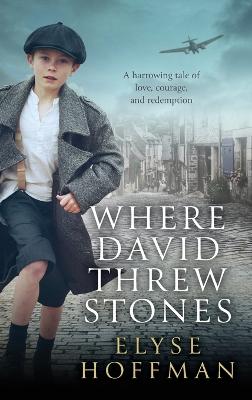 Where David Threw Stones - Hoffman, Elyse