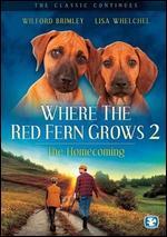 Where the Red Fern Grows 2