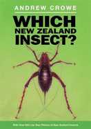 Which New Zealand Insect?