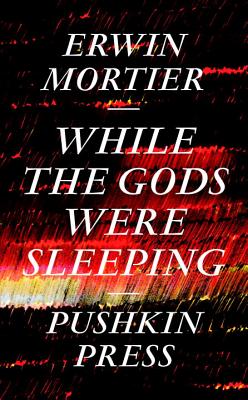 While the Gods Were Sleeping - Mortier, Erwin, and Vincent, Paul (Translated by)