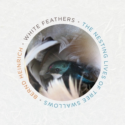 White Feathers: The Nesting Lives of Tree Swallows - Heinrich, Bernd, PhD, and Adamson, Rick (Read by)