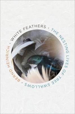 White Feathers: The Nesting Lives of Tree Swallows - Heinrich, Bernd, PhD