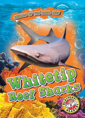 Whitetip Reef Sharks - Shaffer, Lindsay