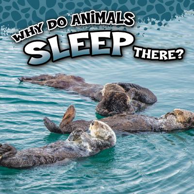 Why Do Animals Sleep There? - George, Sam