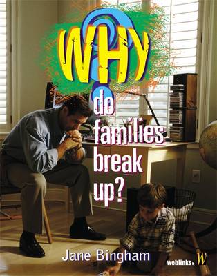 Why Do Families Break Up? - Bingham, Jane M.