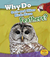 Why Do Owls and Other Birds Have Feathers?