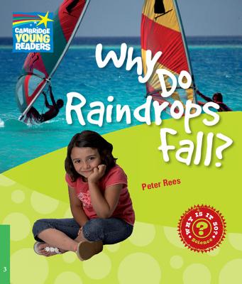 Why Do Raindrops Fall? Level 3 Factbook - Rees, Peter