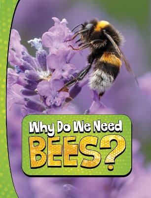 Why Do We Need Bees? - Murray, Laura K.