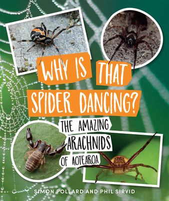 Why Is That Spider Dancing?: The Amazing Arachnids of Aotearoa - Pollard, Dr. Simon, and Barraclough, Kate (Designer), and Sirvid, Phil