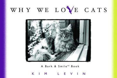 Why We Love Cats - Levin, Kim, and O'Neill, John