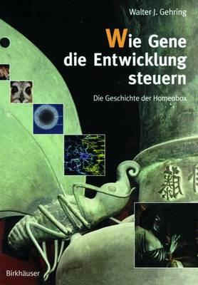 Wie Gene Die Entwicklung Steuern: Die Geschichte Der Homeobox - Gehring, Walter J, Dr.