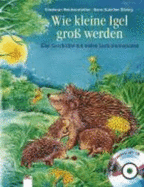Wie Kleine Igel Gro? Werden