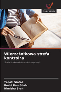 Wierzcholkowa strefa kontrolna