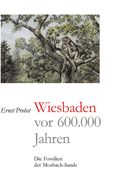 Wiesbaden vor 600.000 Jahren: Die Fossilien der Mosbach-Sande