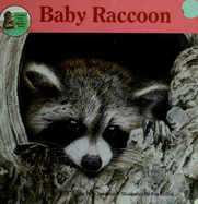 Wild Animals: Baby Raccoon