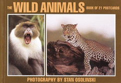 Wild Animals: Postcard Book