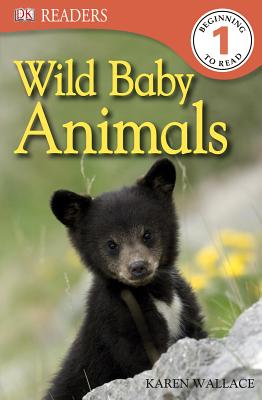 Wild Baby Animals - Wallace, Karen