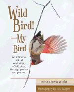 Wild Bird! My Bird