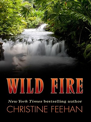 Wild Fire - Feehan, Christine