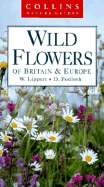Wild Flowers of Britain & Europe