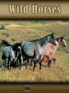 Wild Horses: Eye to Eye with Horses