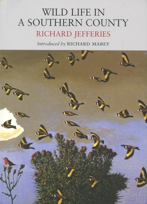 Wild Life in a Southern County - Jefferies, Richard