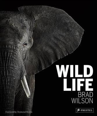 Wild Life - Wilson, Brad, and Morris, Desmond (Foreword by)