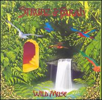 Wild Muse - Strunz & Farah