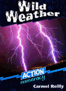 Wild Weather: Action Numeracy