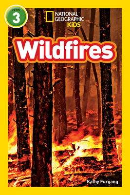 Wildfires - Furgang, Kathy