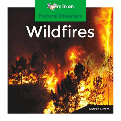 Wildfires - Rivera, Andrea