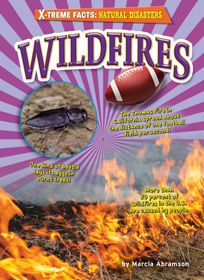 Wildfires - Abramson, Marcia