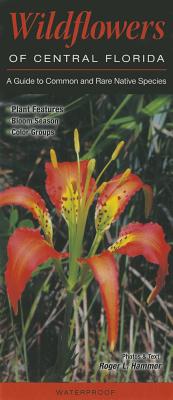 Wildflowers Central Florida: A Guide to Common and Rare Native Species - Hammer, Roger L