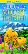 Wildflowers of Mount Rainer