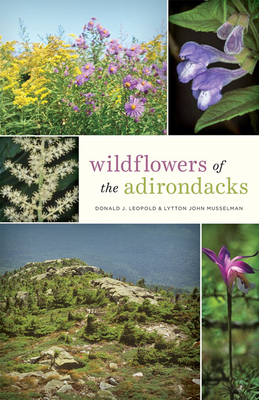 Wildflowers of the Adirondacks - Leopold, Donald J, and Musselman, Lytton John