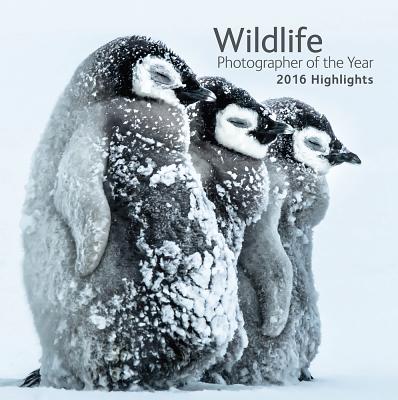 Wildlife Photographer of the Year: 2016 Highlights - Cox, Rosamund Kidman (Editor)