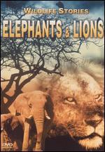 Wildlife Stories - The Whole Story: Elephants & Lions