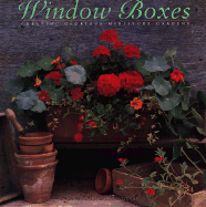 Window Boxes