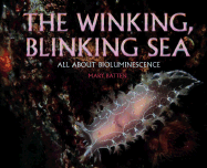 Winking Blinking Sea: All about