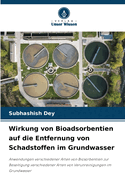 Wirkung von Bioadsorbentien auf die Entfernung von Schadstoffen im Grundwasser