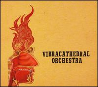 Wisdom Thunderbolt - Vibracathedral Orchestra