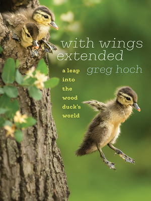 With Wings Extended: A Leap Into the Wood Duck's World - Hoch, Greg