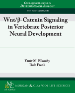 Wnt/?-catenin Signaling in Vertebrate Posterior Neural Development